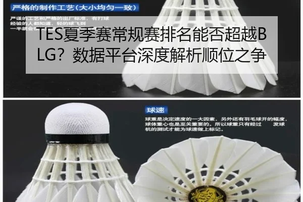 xia-ji-sai-chang-gui-sai-pai-ming-neng-fou-chao-yue-shu-ju-ping-tai-shen-du-jie-xi-shun-wei-zhi-zheng-3-304.jpg